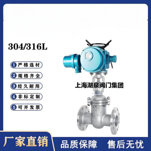 Z941W-16P，DN250，CF8/F304不銹鋼電動閘閥